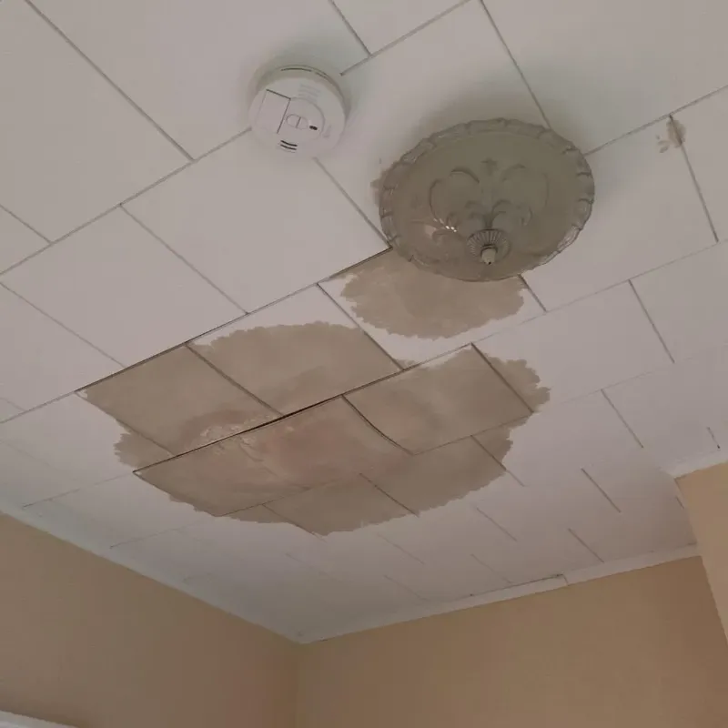 Ceiling Water Damage Repair in Greenland, AR