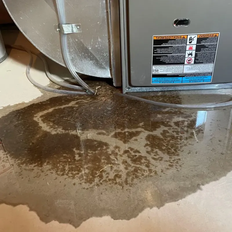 Pipe Burst and Leak Restoration in Greenland, AR